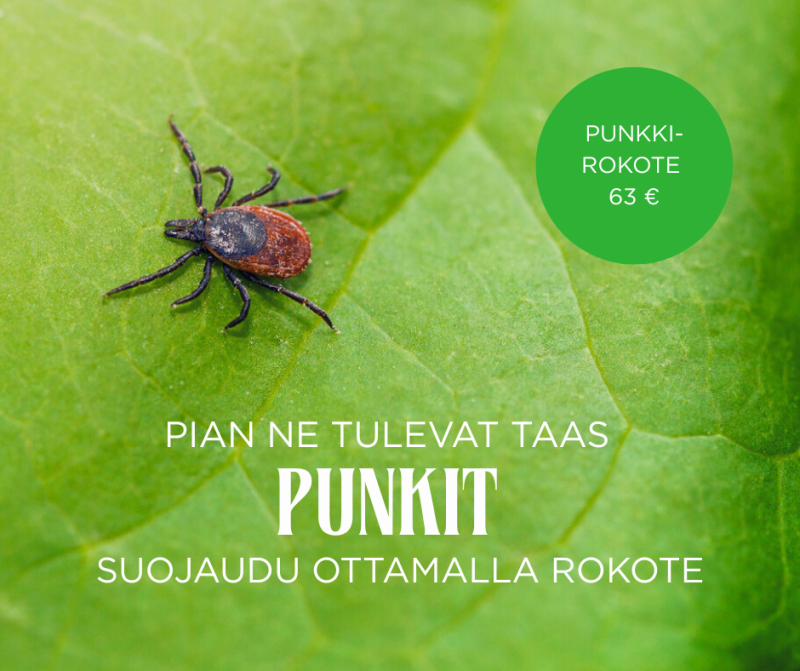 Punkkikausi on käynnissä